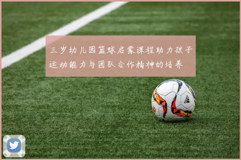 三岁幼儿园篮球启蒙课程助力孩子运动能力与团队合作精神的培养