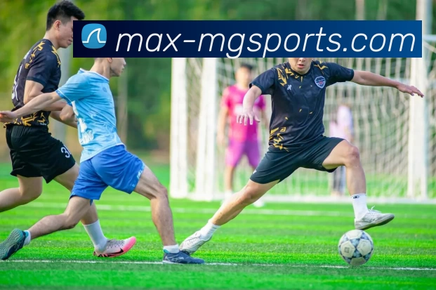 满贯体育APP 封面图